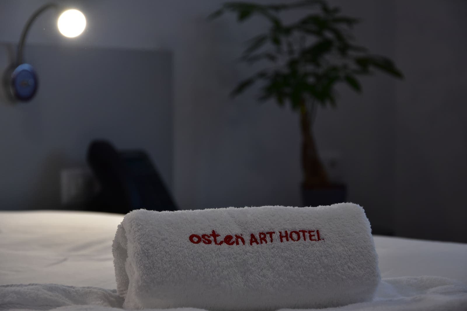 Room 7 — photo 8