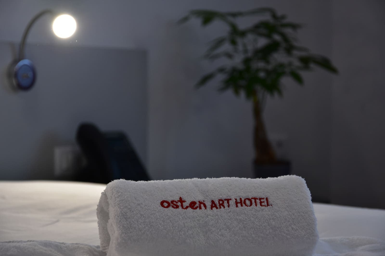 Room 7 — photo 9