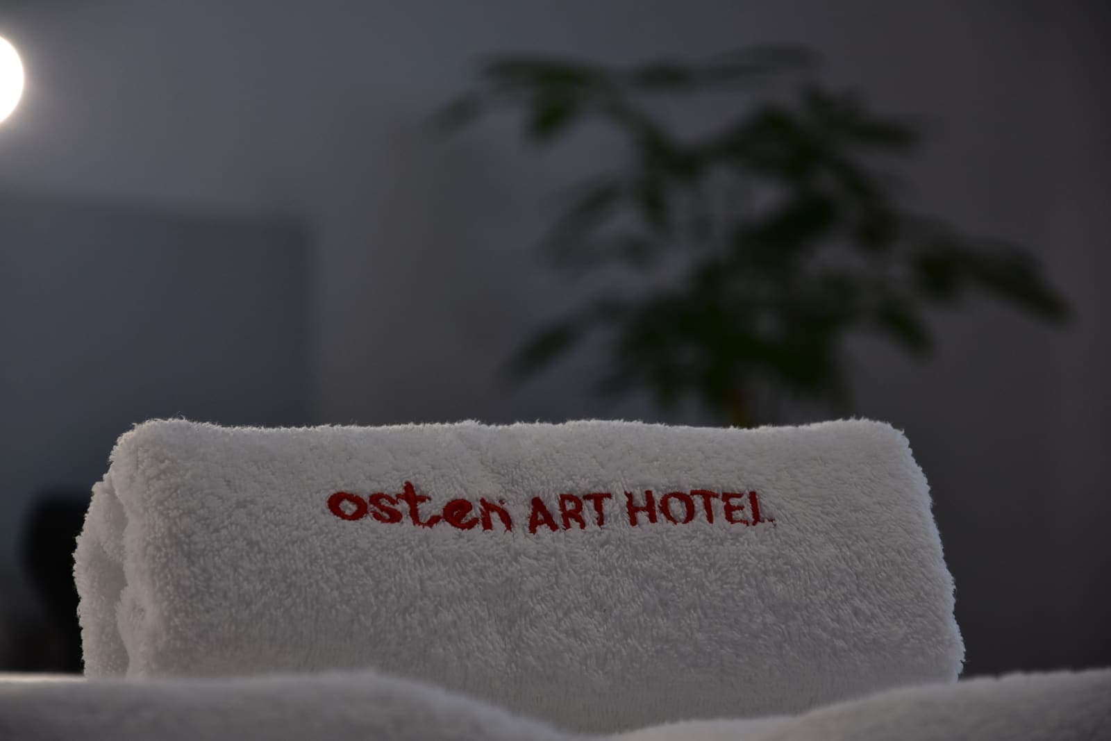 Room 7 — photo 10